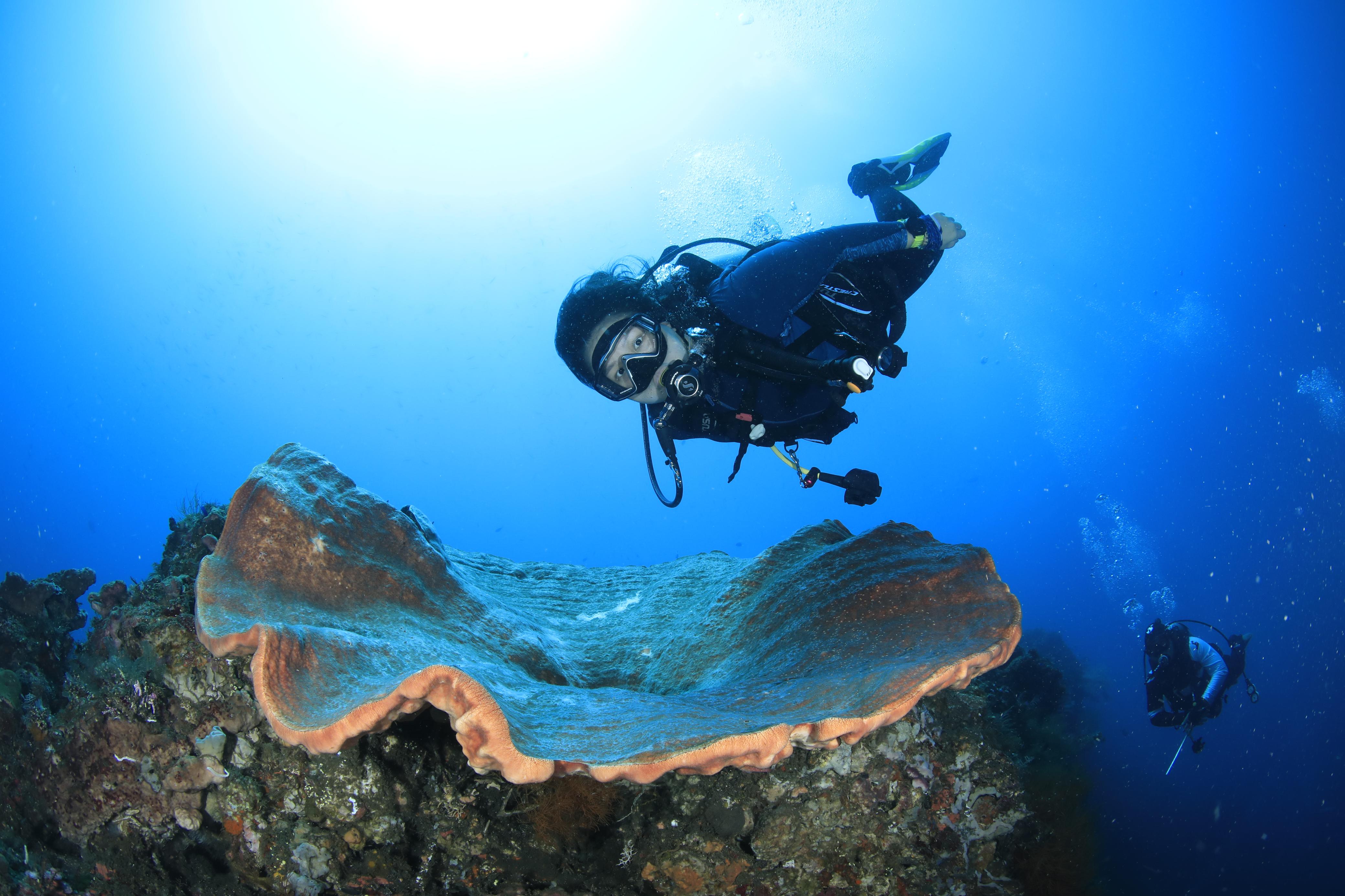 Gili Tepekong & Mimpang