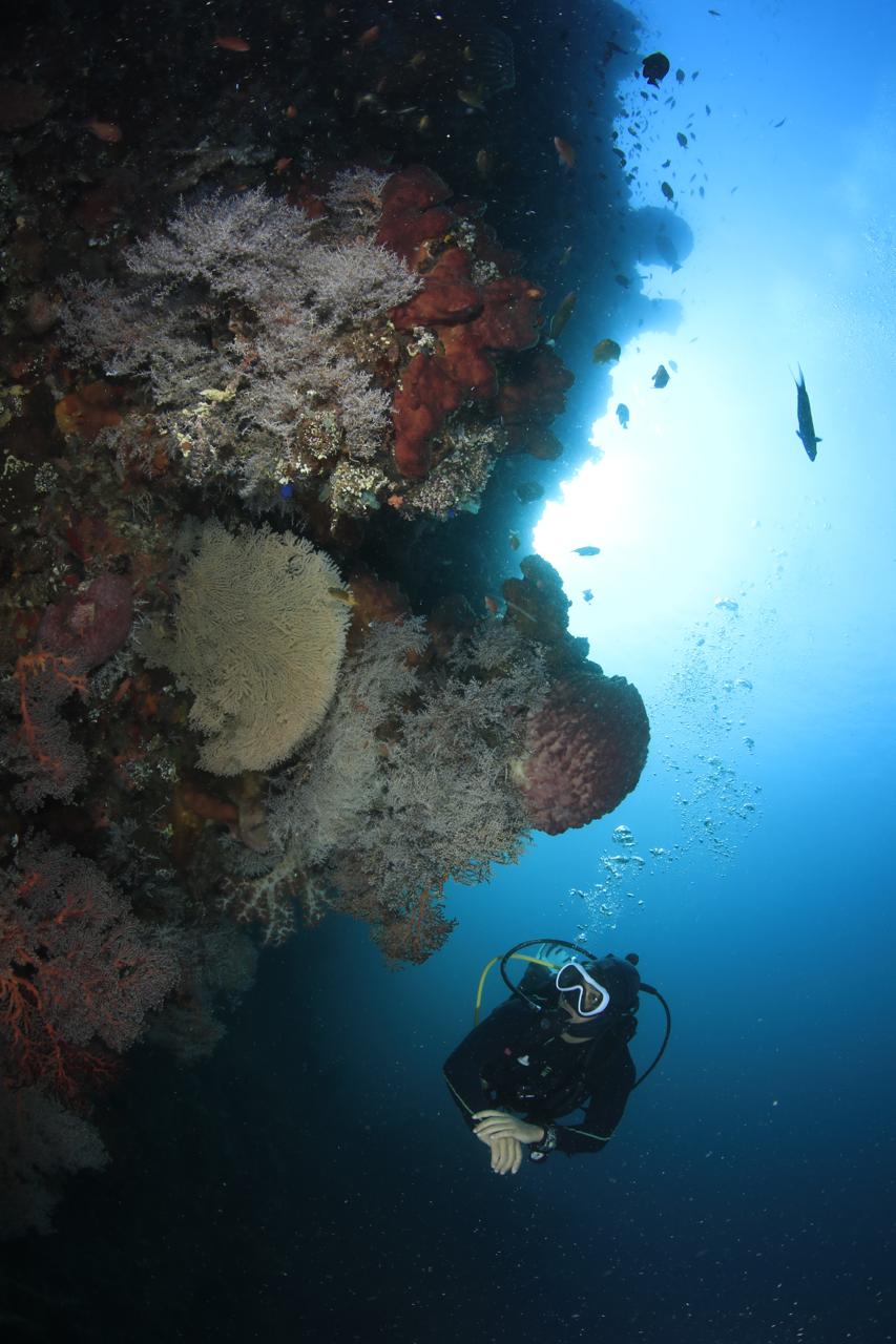 PADI Nitrox Specialty