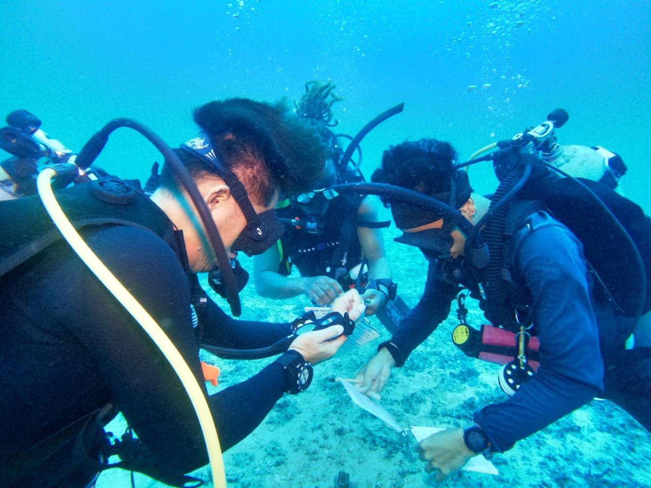 Deep Diver Specialty